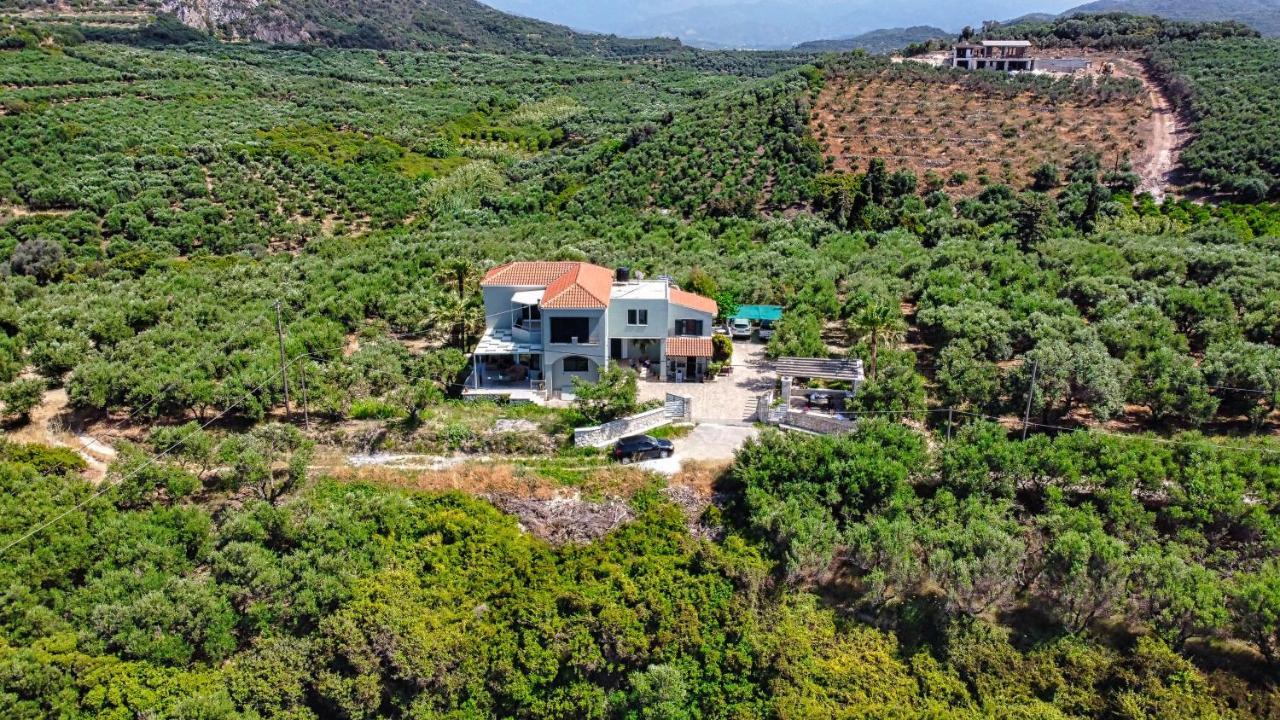 Venizelos Studios Platanias  Exterior photo